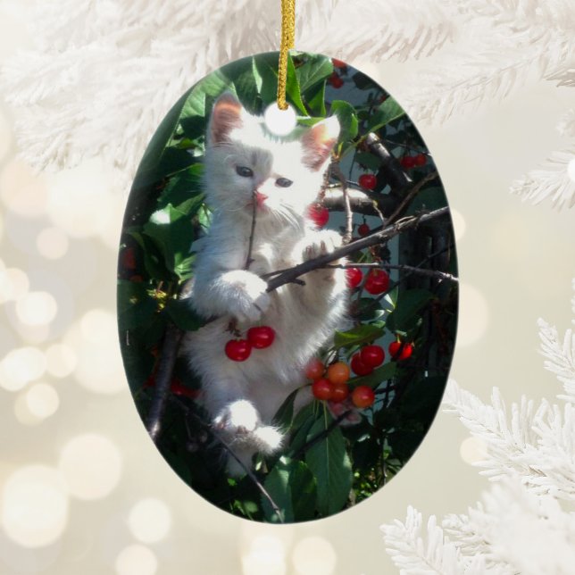 Kitten Keepsake Two Sided Photo Ceramic Ornament (Kitten Keepsake Two Sided Photo Ceramic Ornament)