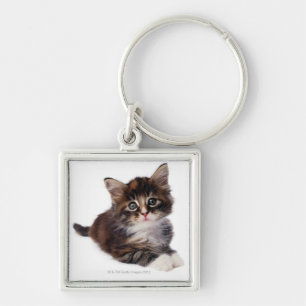 Kitten Key Ring