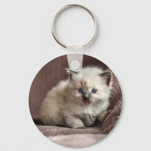 Kitten Keyring