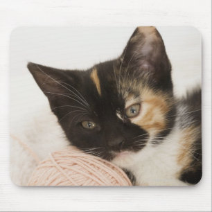 Kitten laying on ball of string mouse pad