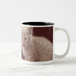Kitten licking spilt milk from bottle Two-Tone coffee mug