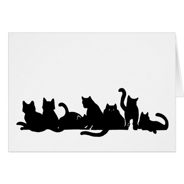 Kitten Line (Front Horizontal)