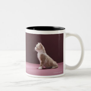 Kitten looking at vase of roses Two-Tone coffee mug