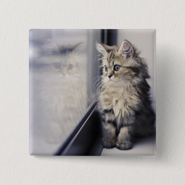 Kitten Looking Out Window 15 Cm Square Badge (Front)