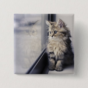 Kitten Looking Out Window 15 Cm Square Badge