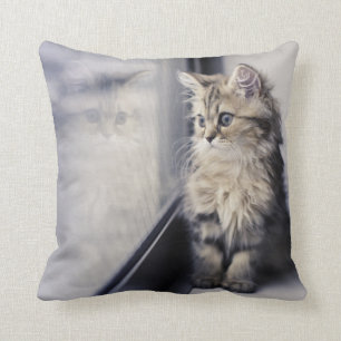 Kitten Looking Out Window Cushion