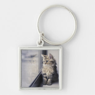 Kitten Looking Out Window Key Ring