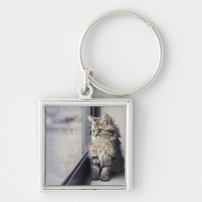 Kitten Looking Out Window Key Ring (Front)