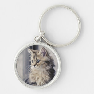 Kitten Looking Out Window Key Ring