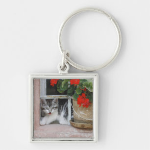 Kitten Looking Out Window Key Ring