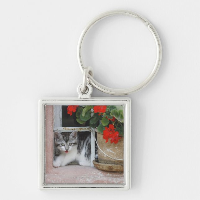Kitten Looking Out Window Key Ring (Front)