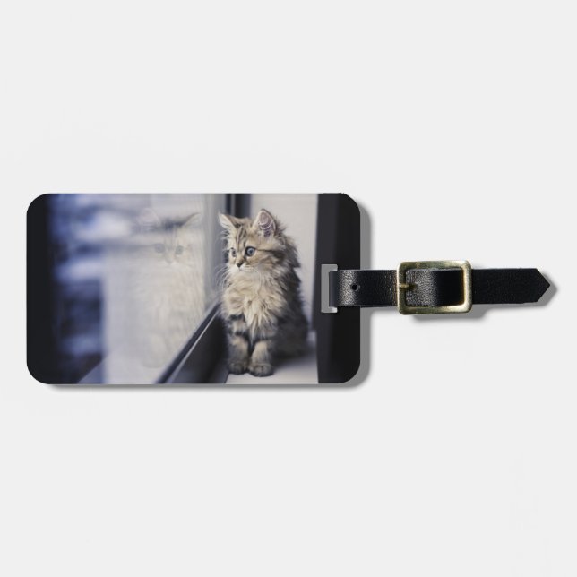 Kitten Looking Out Window Luggage Tag (Front Horizontal)