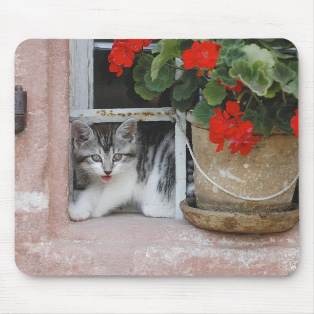 Kitten Looking Out Window Mouse Pad (Front)
