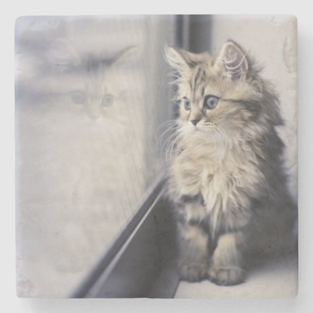 Kitten Looking Out Window Stone Coaster (Front)