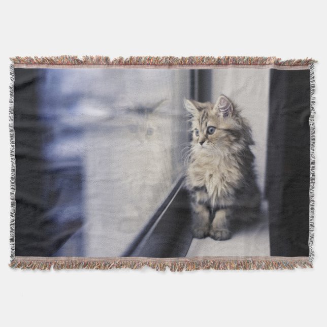 Kitten Looking Out Window Throw Blanket (Front)