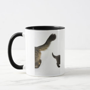 Kitten Looking up at its Mother's Tail Mug
