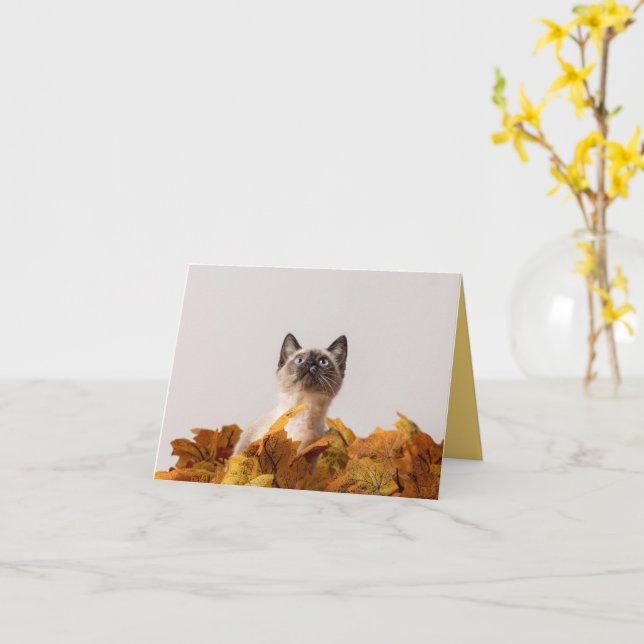 Kitten Love Card (Yellow Flower)