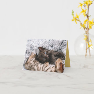 Kitten Love Card