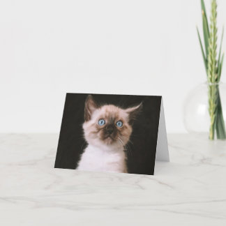 Kitten Love Card
