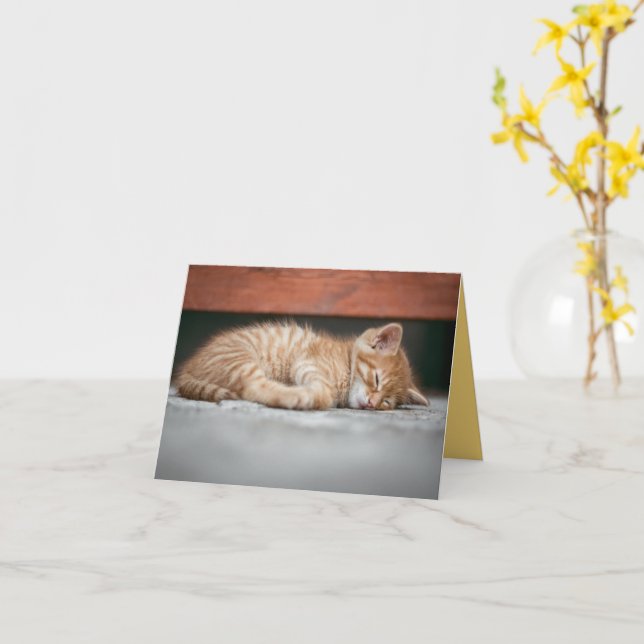 Kitten Love Card (Yellow Flower)