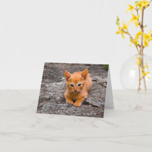 Kitten Love Card (Yellow Flower)