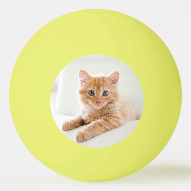 Kitten love ping pong ball (Front)