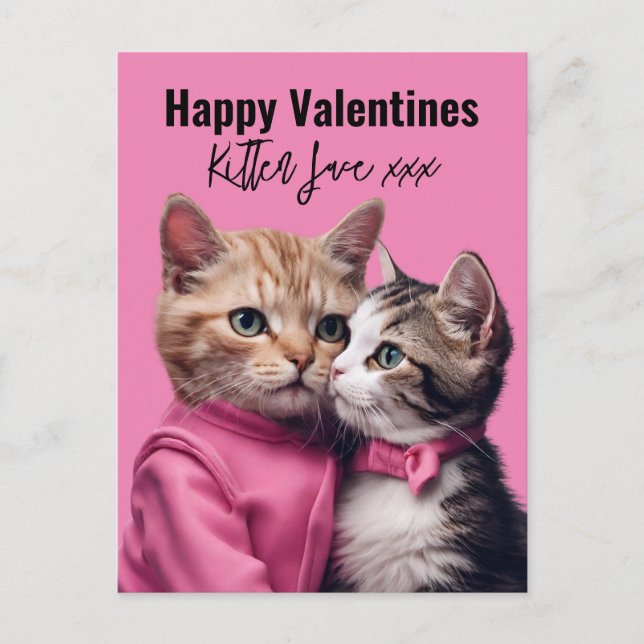 Kitten love Valentine cat lover pet owner fur baby Postcard (Front)