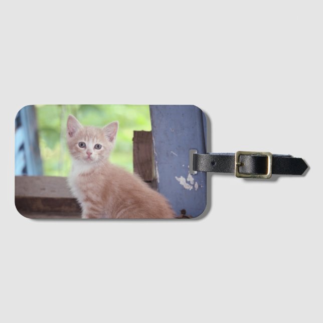Kitten Luggage Tag (Front Horizontal)