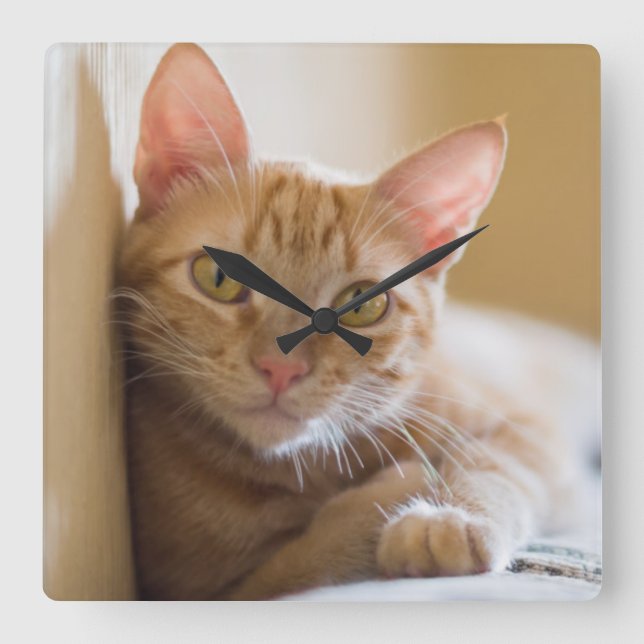 Kitten Lying On The Couch Square Wall Clock (Front)