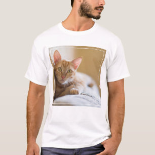 Kitten Lying On The Couch T-Shirt