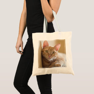 Kitten Lying On The Couch Tote Bag