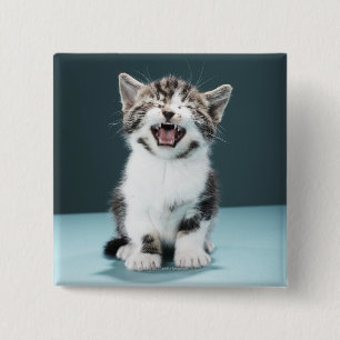 Kitten meowing 15 cm square badge