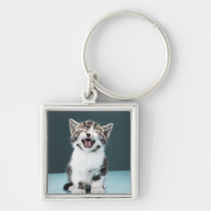 Kitten meowing key ring