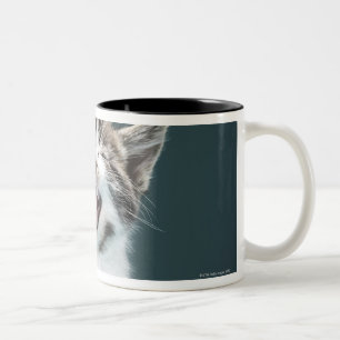 Kitten meowing Two-Tone coffee mug