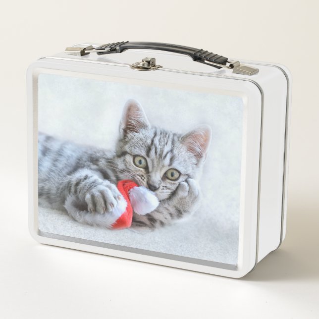 Kitten Metal Lunch Box (Front)