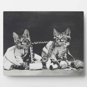 Kitten Mischief Makers 1914 Plaque
