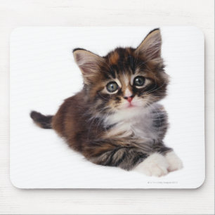 Kitten Mouse Pad