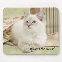 kitten mousemat