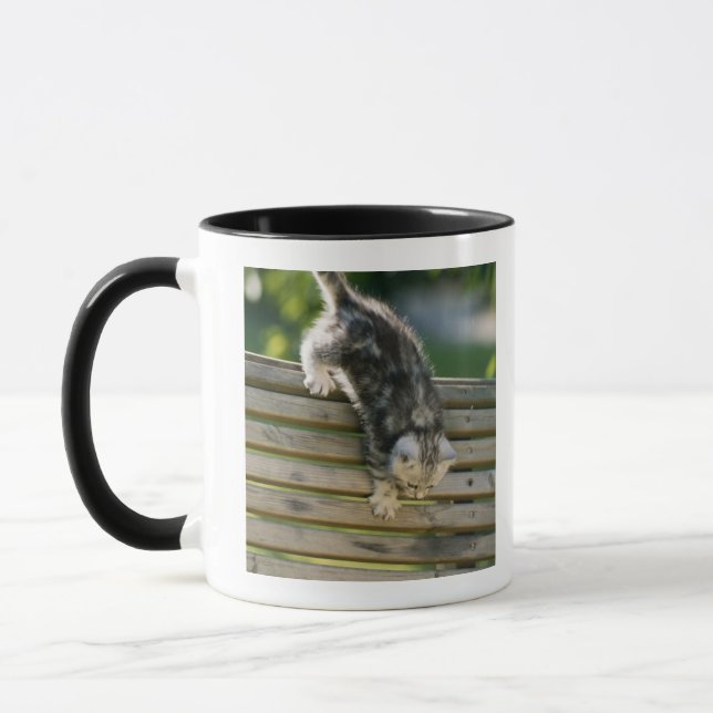 Kitten moving down on bench mug (Left)