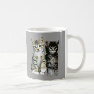 Kitten Mug