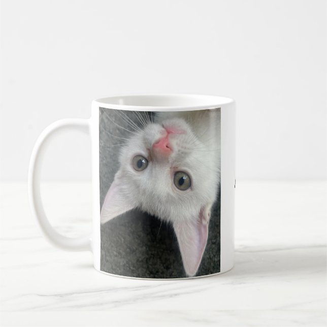 Kitten Mug, Funny Mug (Left)