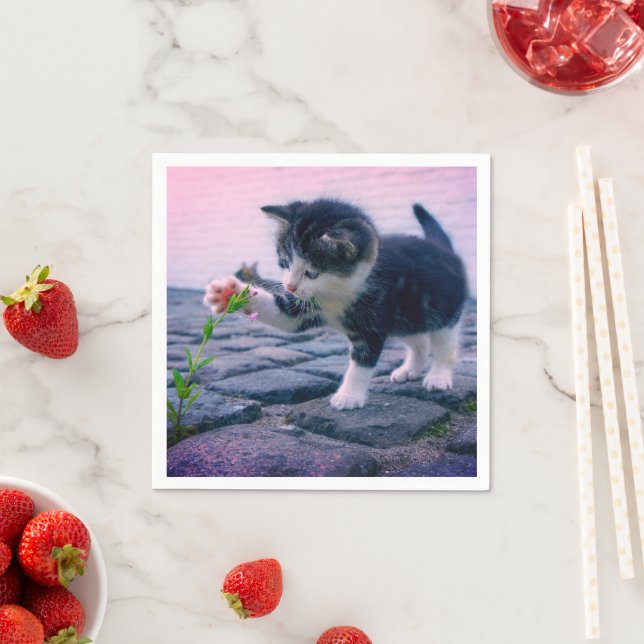 Kitten Napkin (Insitu)