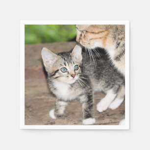 Kitten Napkin