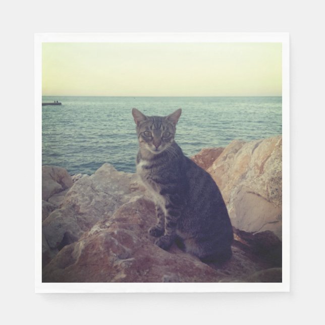 Kitten Napkin (Front)