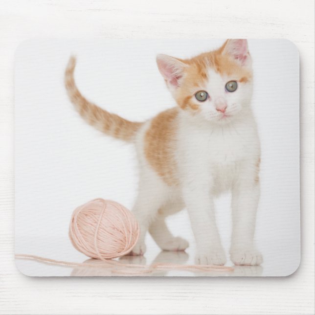 Kitten Next To Ball Of String Mouse Pad (Front)