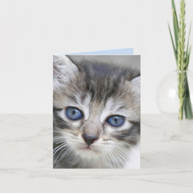Kitten Note Card (Front)
