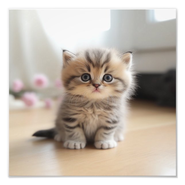 Kitten Nursery & Children's Room Prints (Front)