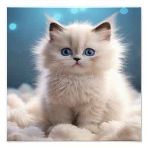 Kitten Nursery & Children's Room Prints