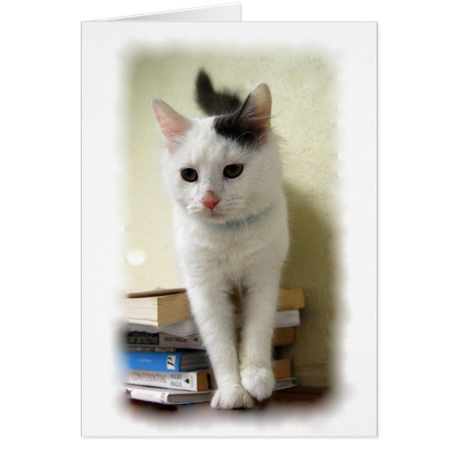 Kitten on Books Card (Front)