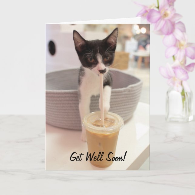 Kitten on Coffee Card (Orchid)